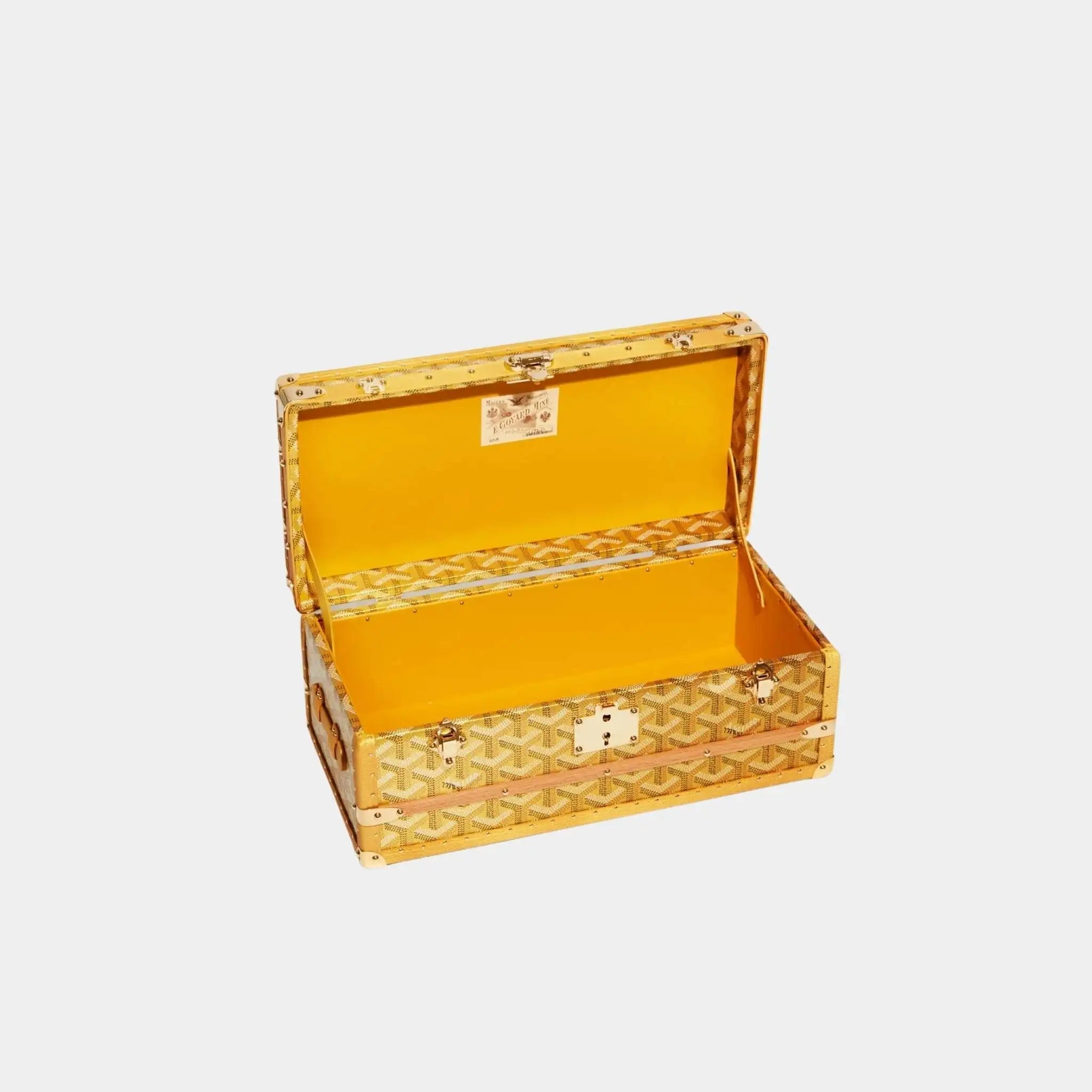 352 Case with Two Trunk Clasps