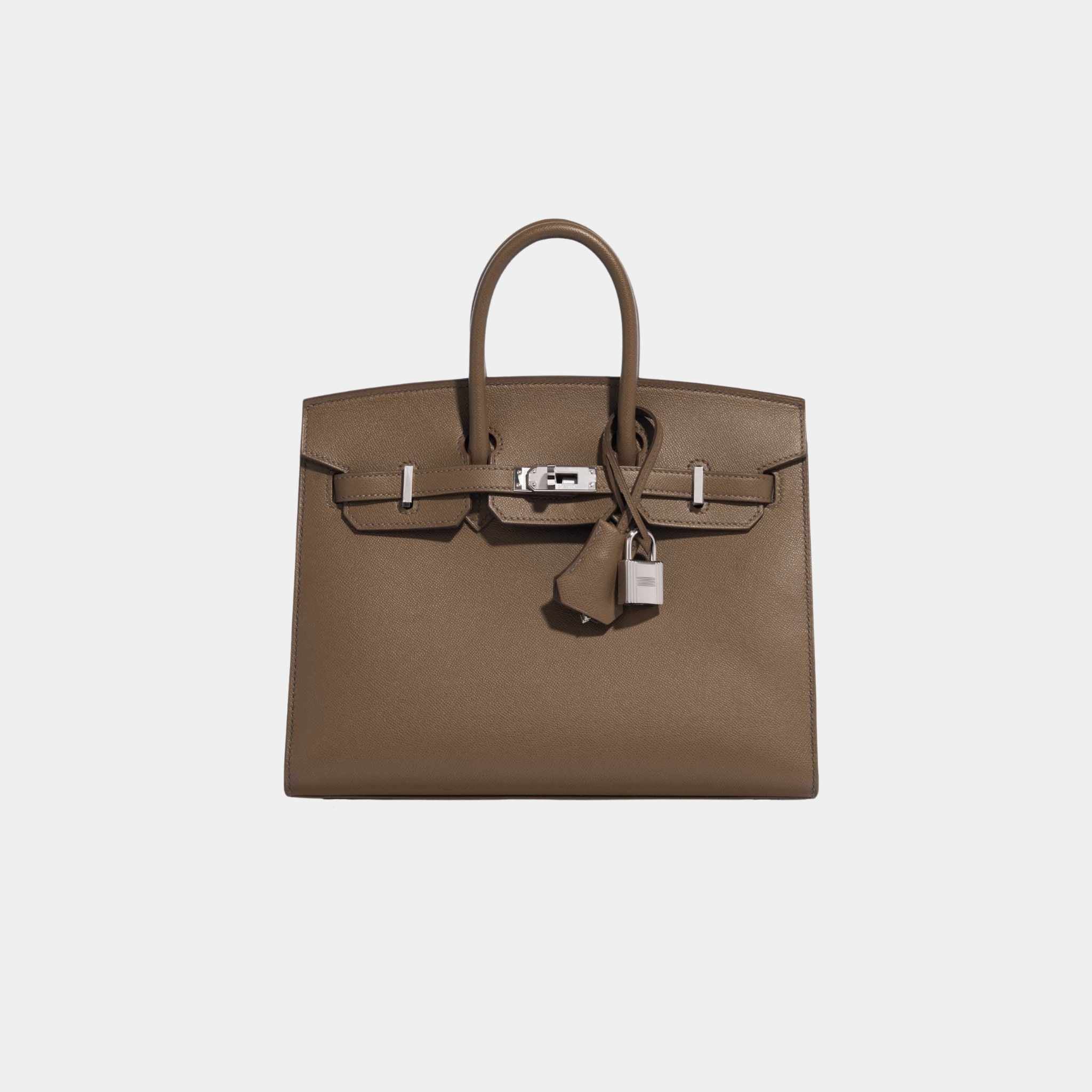Birkin 25 Veau Madame Toundra