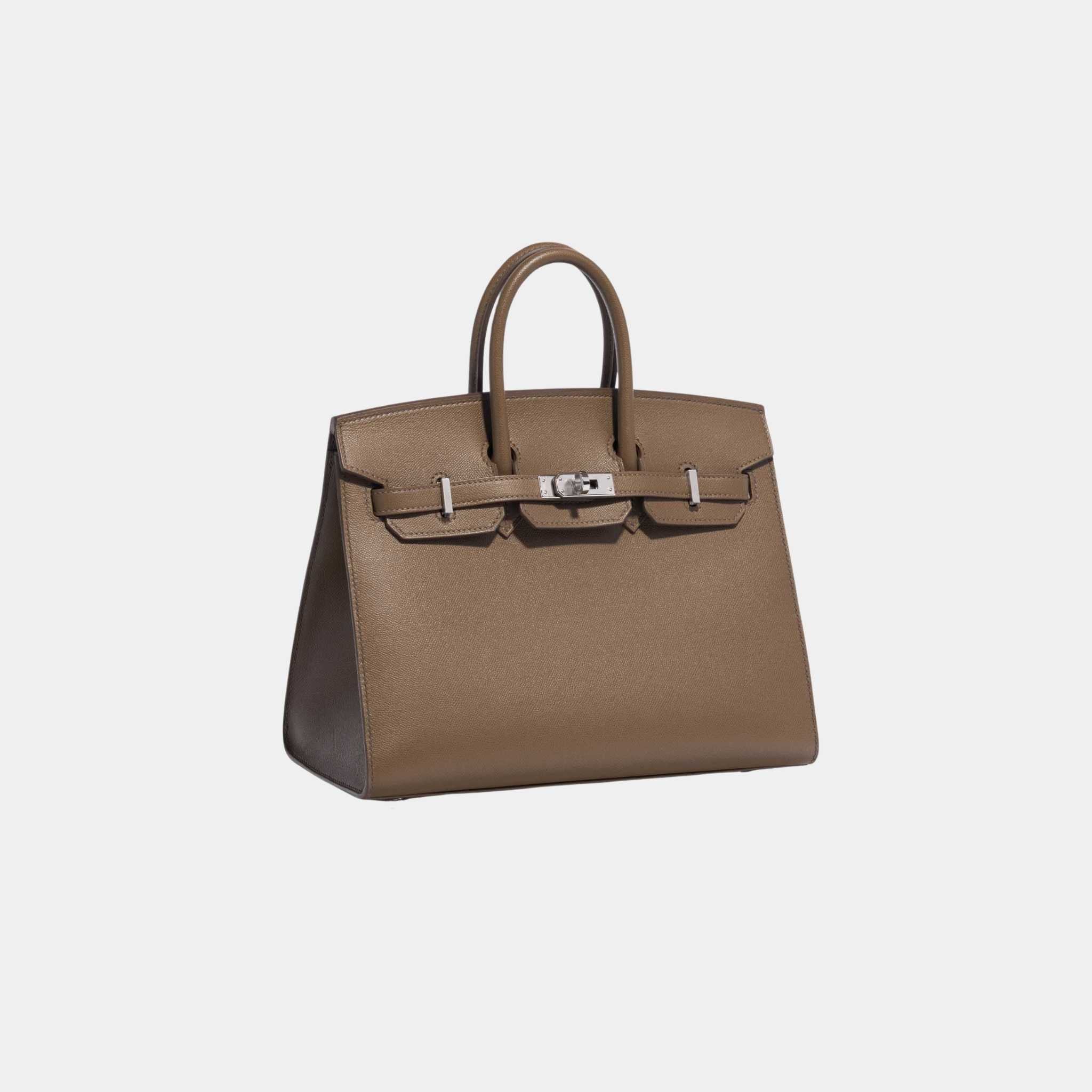 Birkin 25 Veau Madame Toundra
