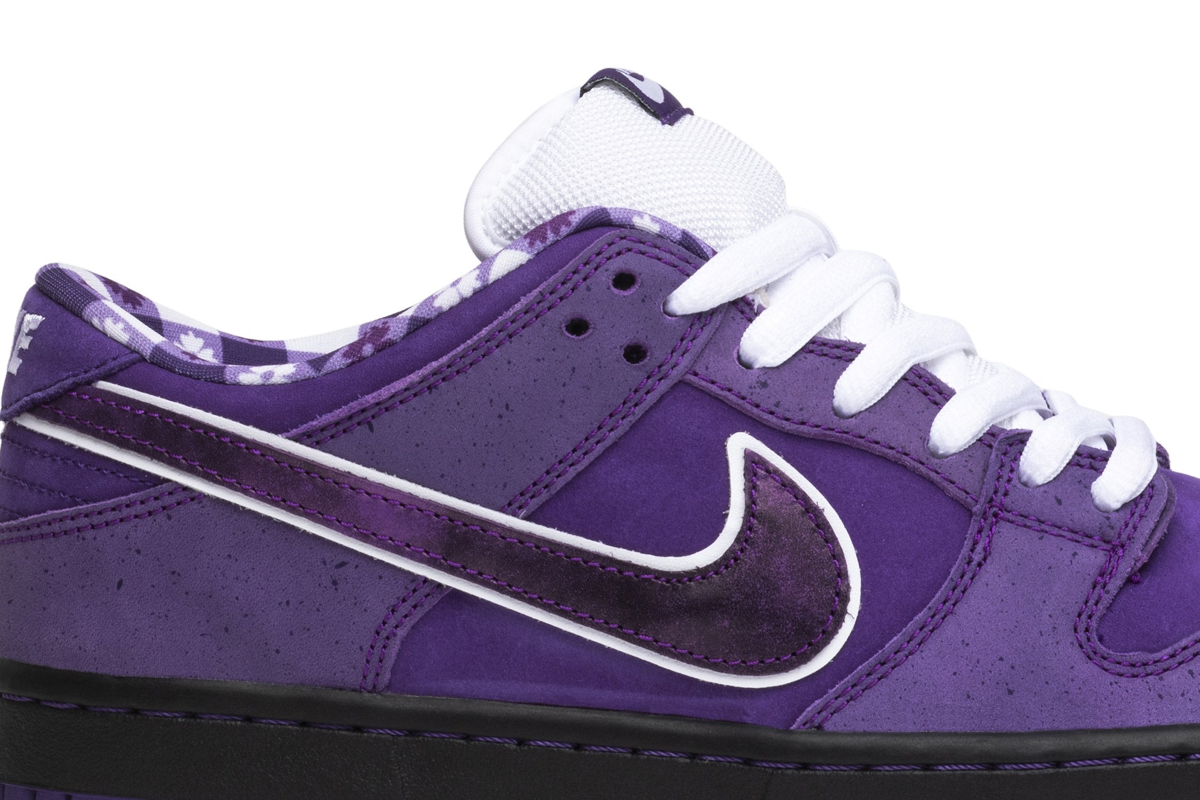 Concepts x Dunk Low SB &