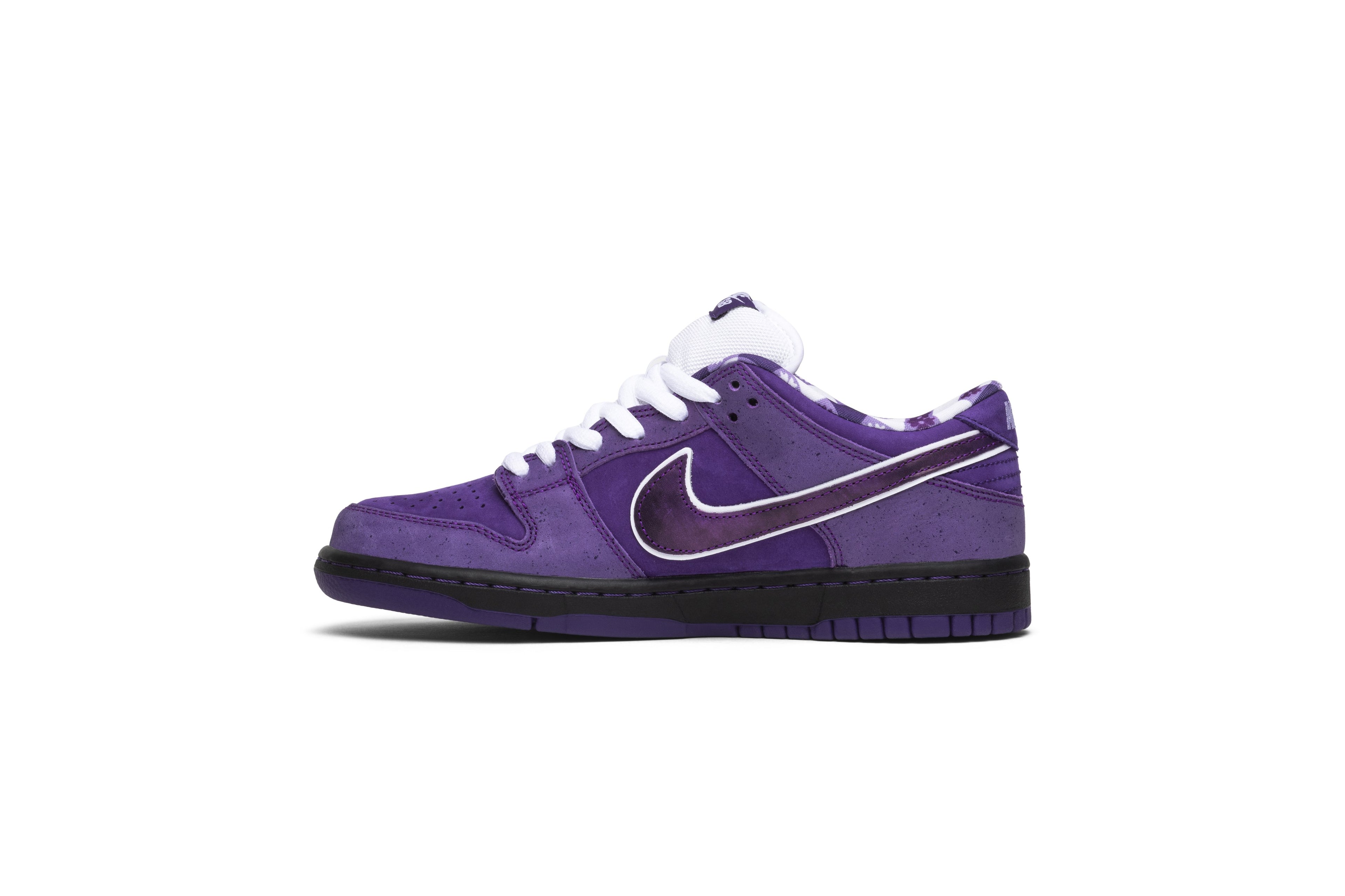 Concepts x Dunk Low SB &