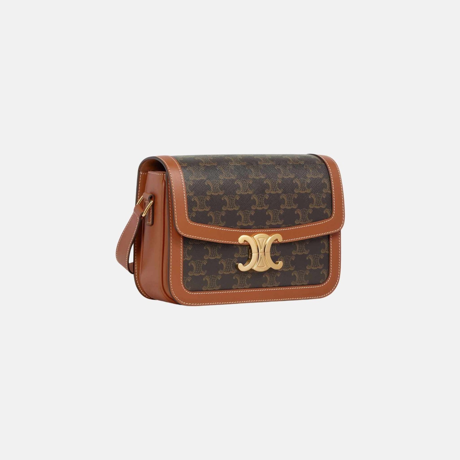 Classique Triomphe Bag In Triomphe Canvas And Calfskin