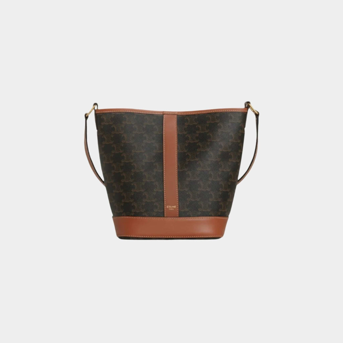 Small Bucket Bag In Triomphe Canvas And Calfskin