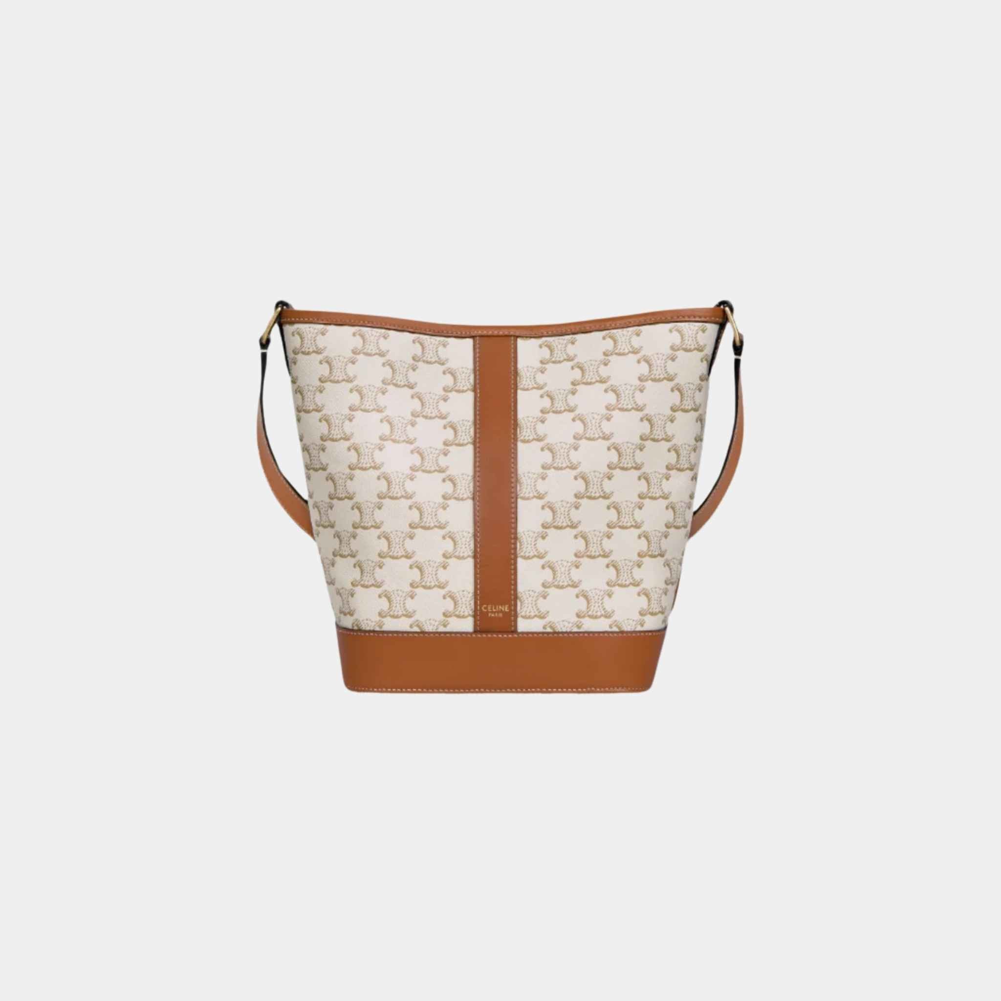 Small Bucket Bag In Triomphe Canvas And Calfskin