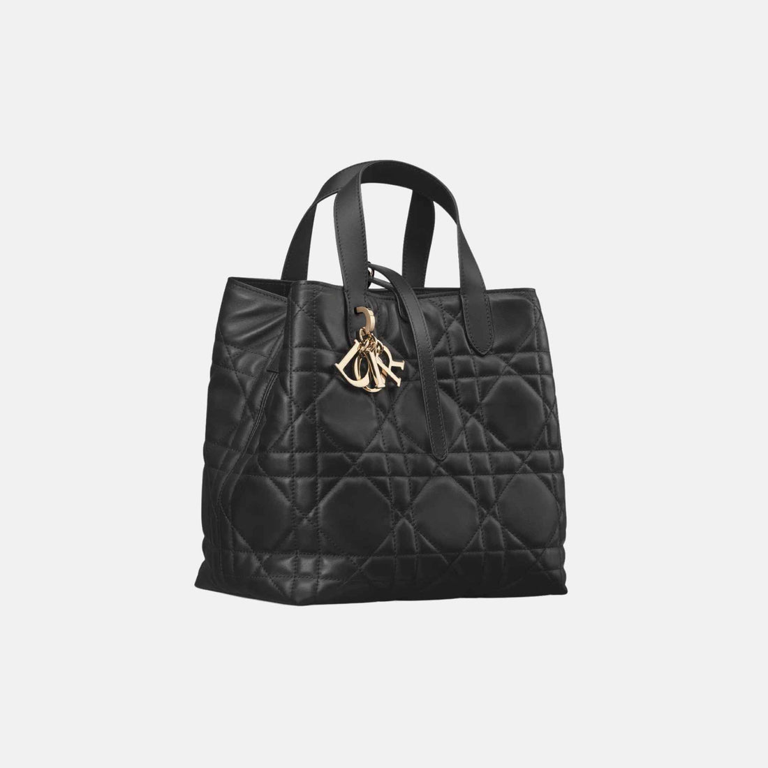 Medium Toujours Vertical Tote Bag