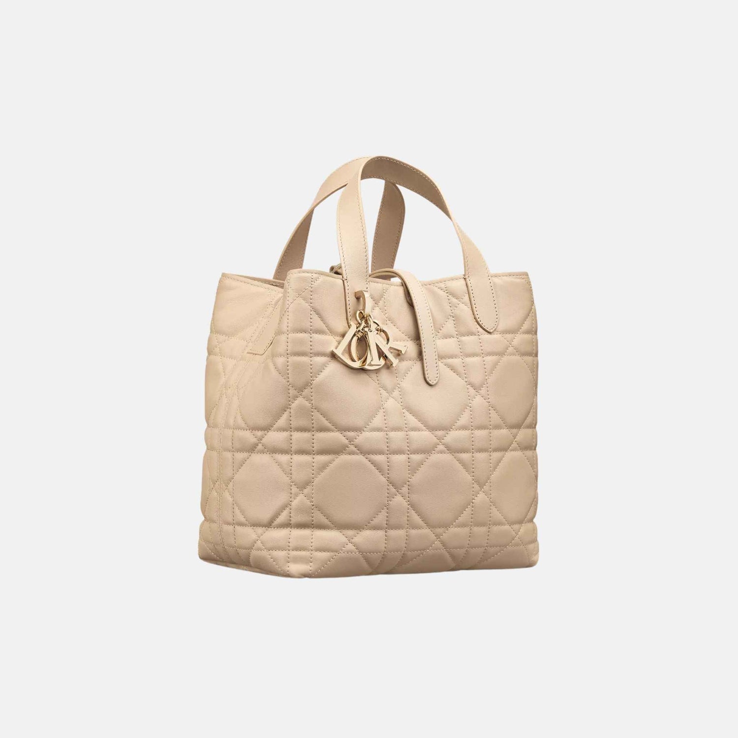 Medium Toujours Vertical Tote Bag