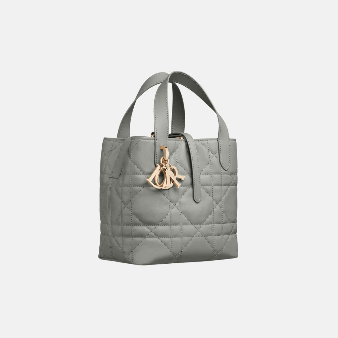 Small Toujours Vertical Tote Bag