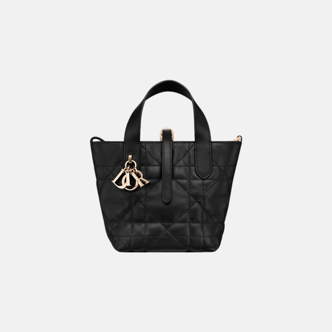 Toujours Vertical Nano Tote Bag
