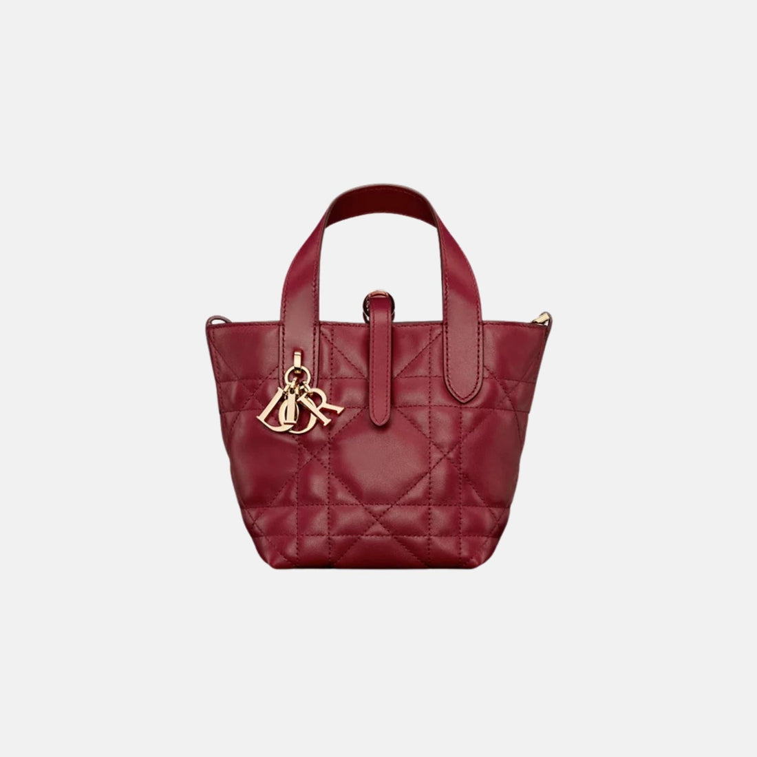 Toujours Vertical Nano Tote Bag