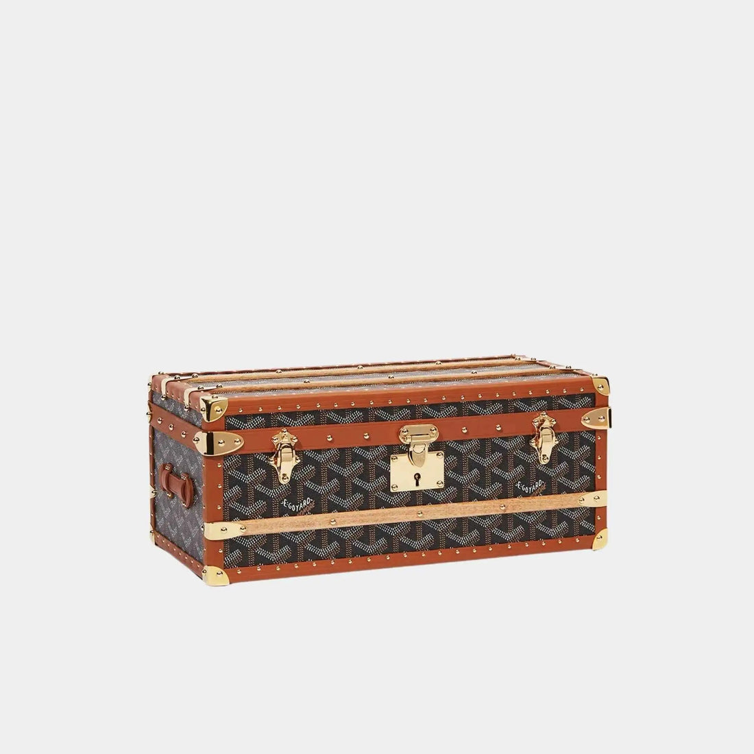 352 Case with Two Trunk Clasps