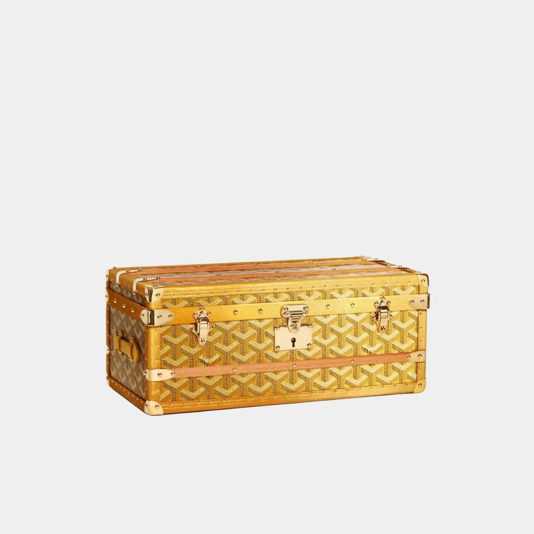352 Case with Two Trunk Clasps