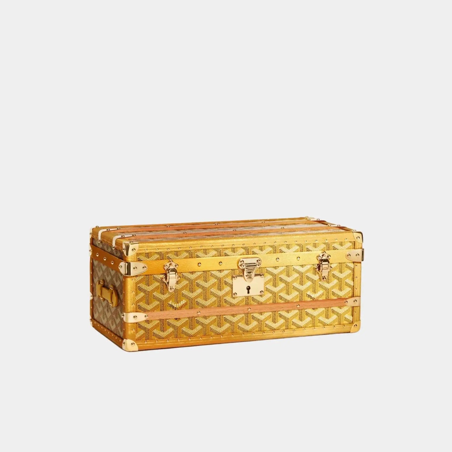 352 Case with Two Trunk Clasps