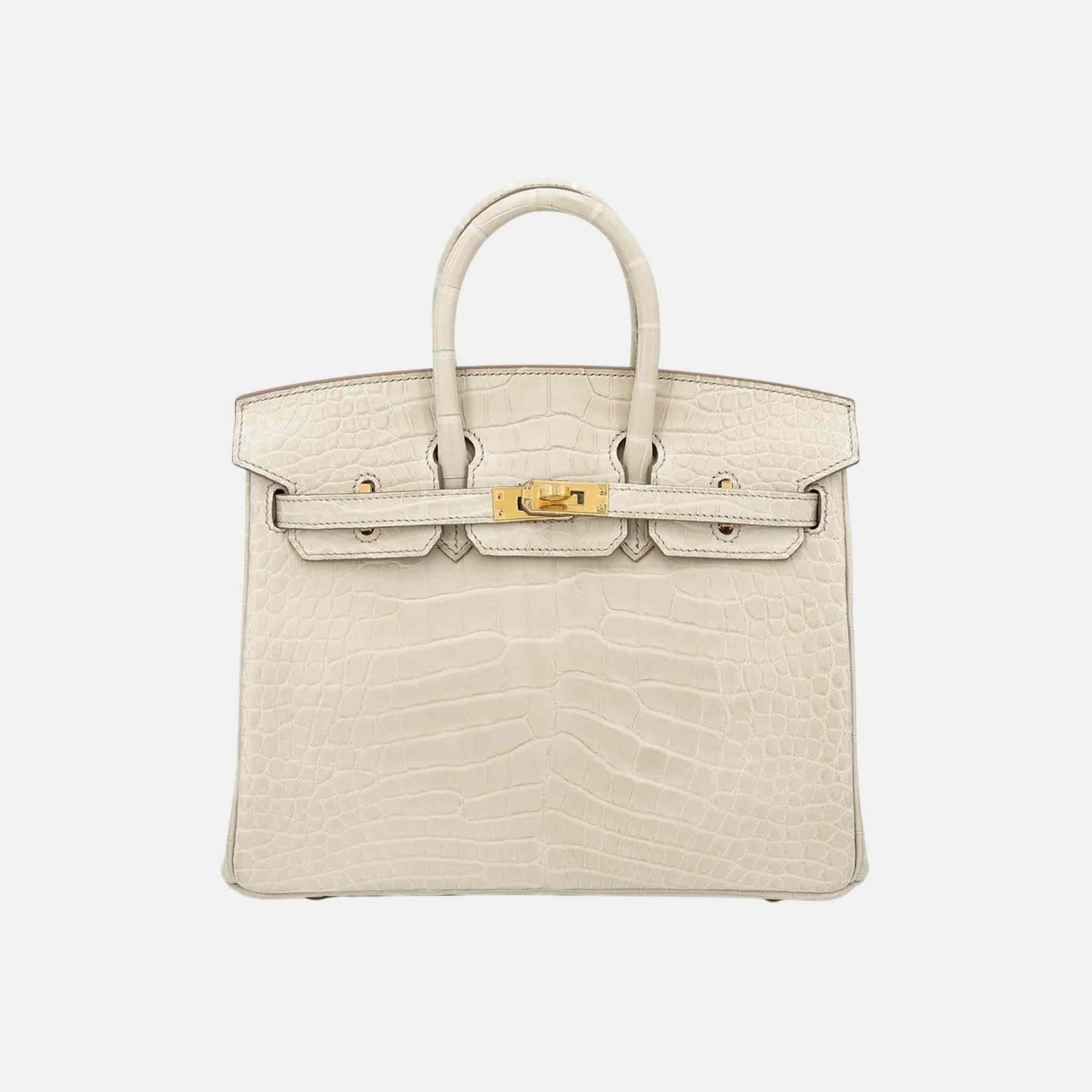 Birkin 25 Matte Alligator Beton GHW