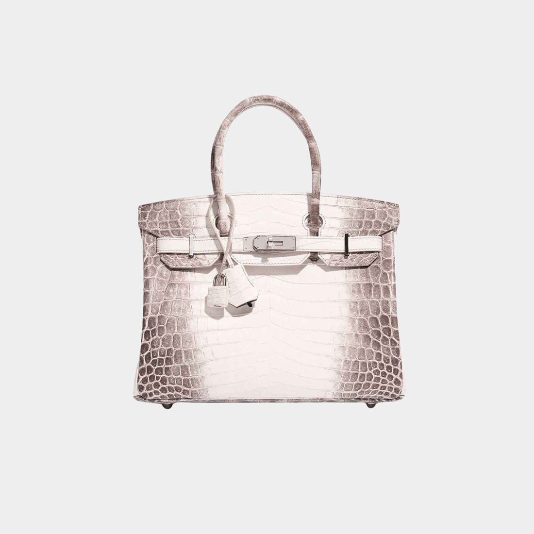 Birkin 30 Matte Alligator Himalaya Blanc PHW