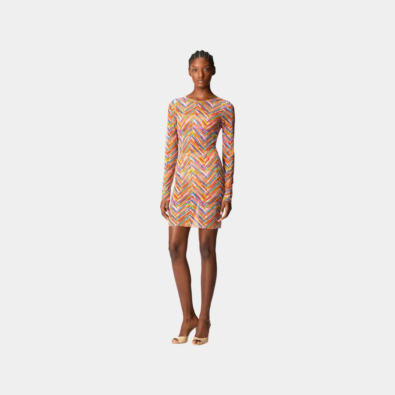 Long Sleeved Dress In Printed Tulle