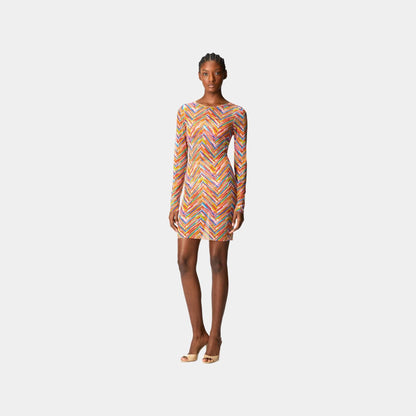 Long Sleeved Dress In Printed Tulle