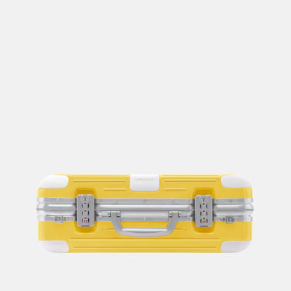 Holiday Hand Carry Case