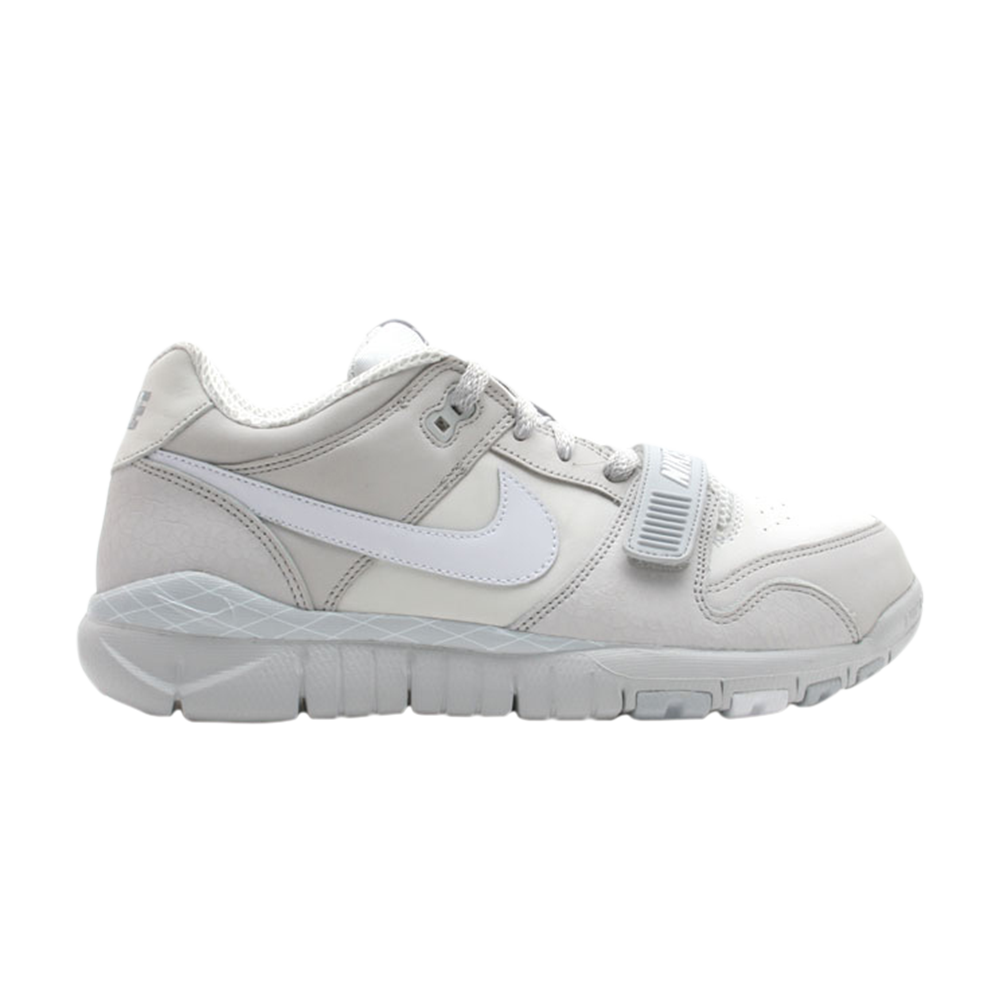 Trainer Dunk Low