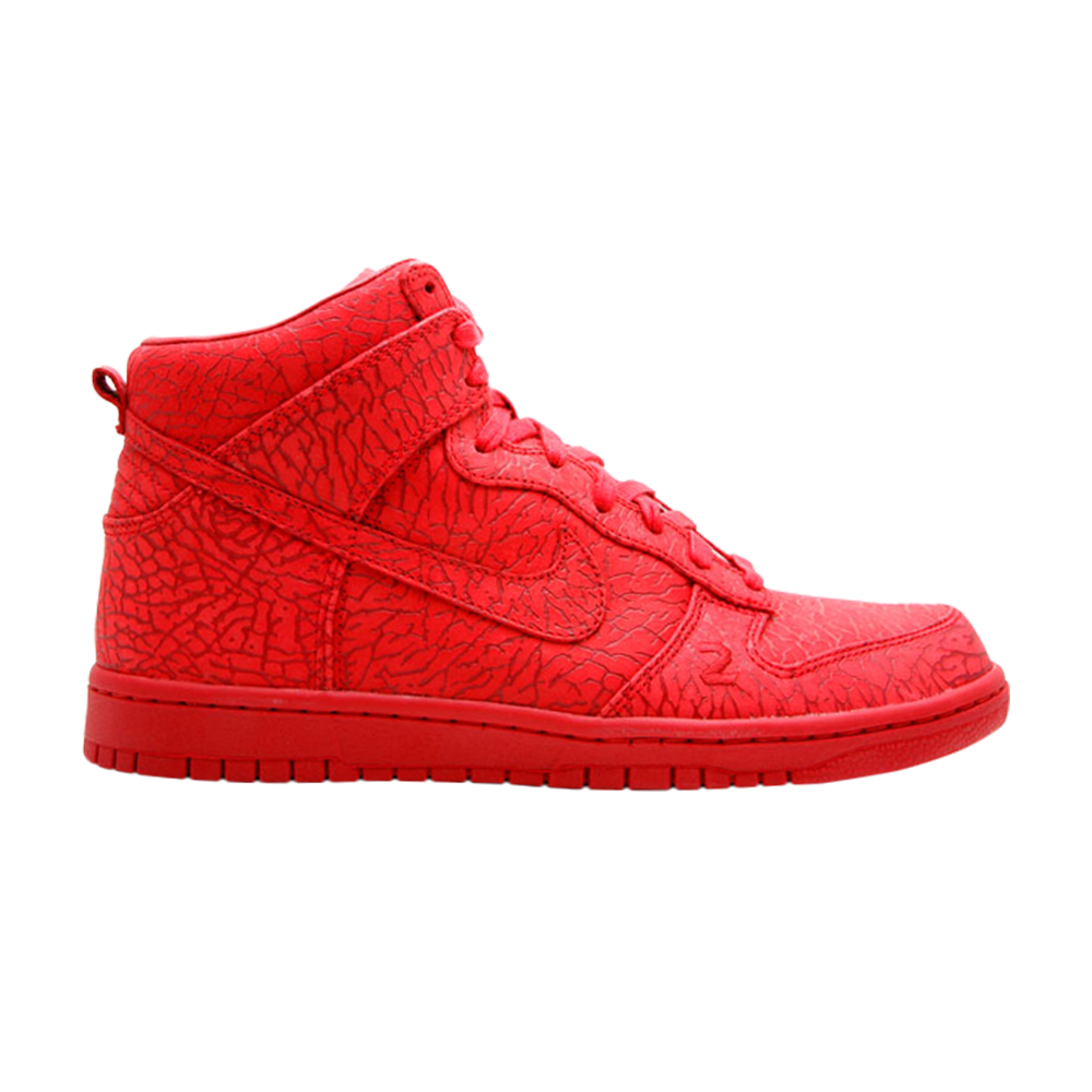 Dunk High Premium &