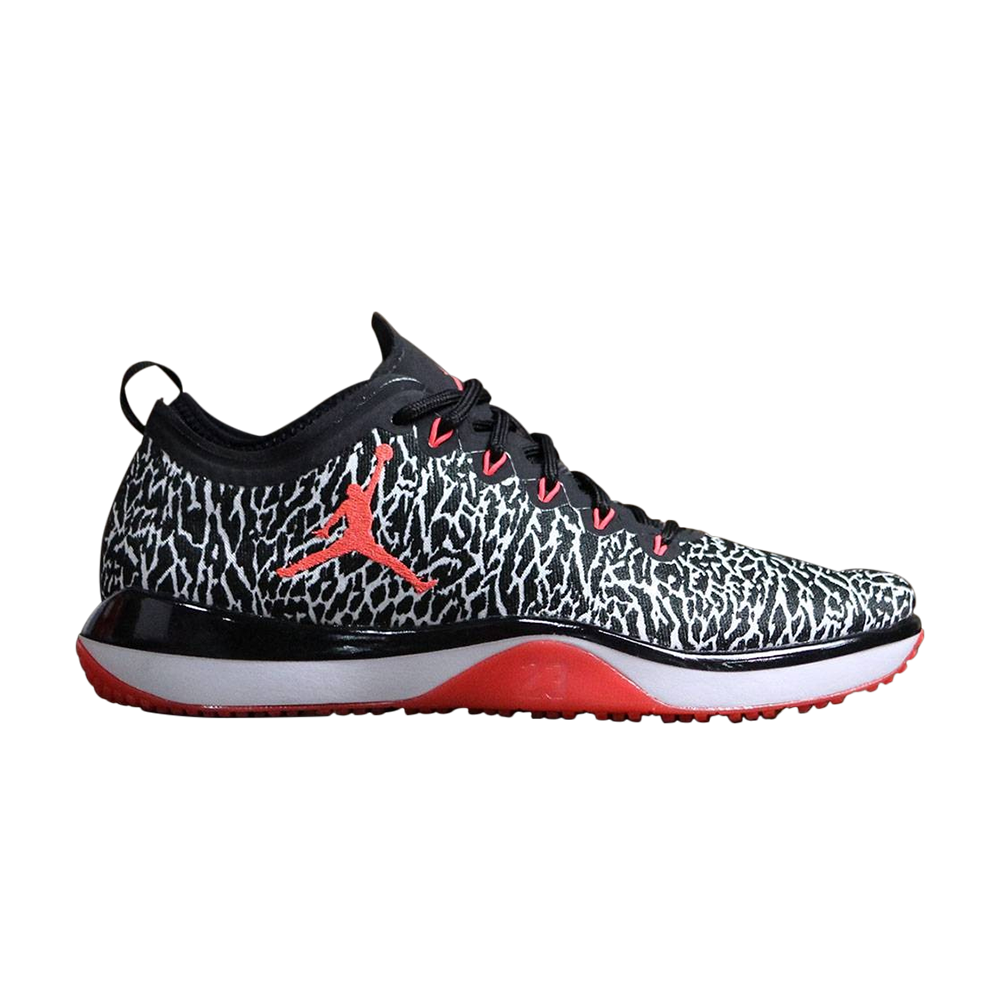 Air Jordan Trainer 1 Low &