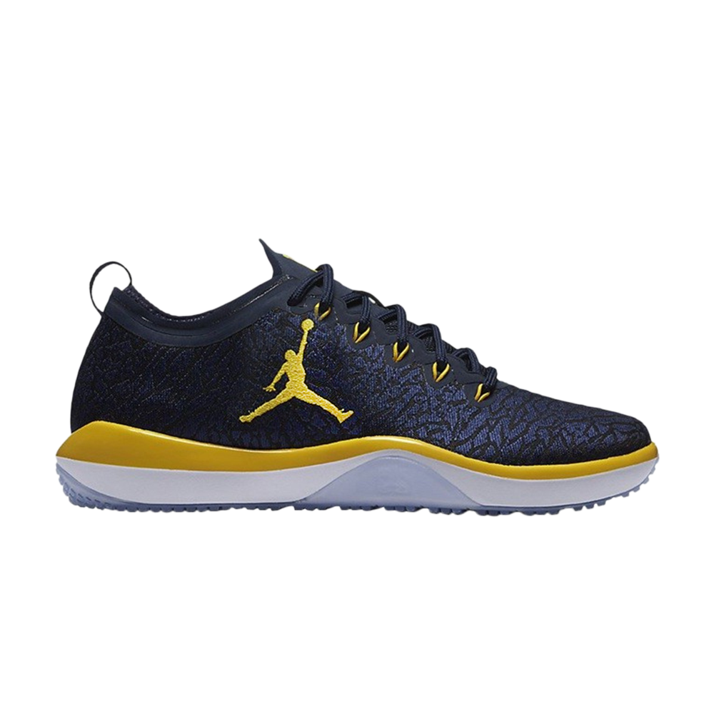 Jordan Trainer 1 Low &