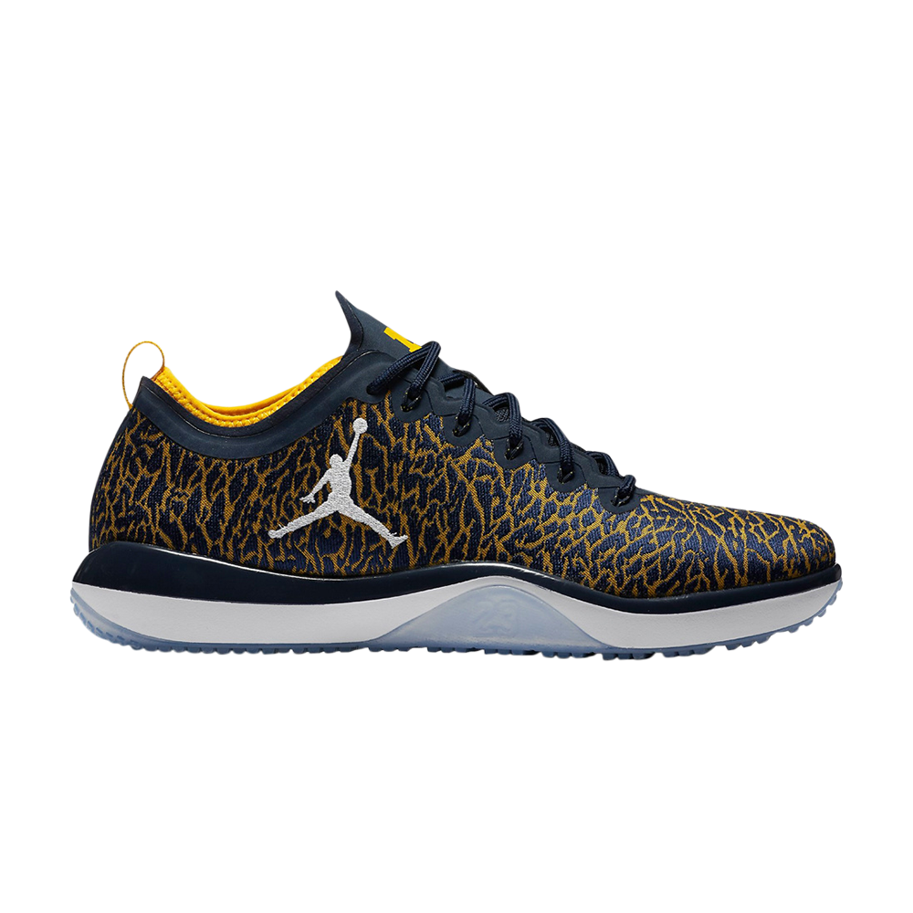 Jordan Trainer 1 Low &